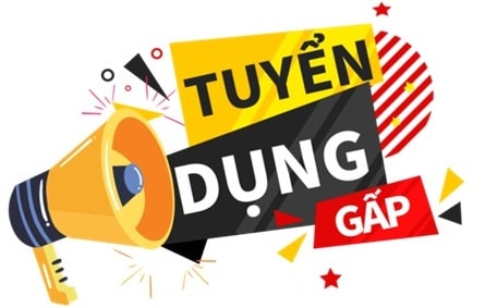 Công ty VI GO VIỆT tuyển dụng nhân viên